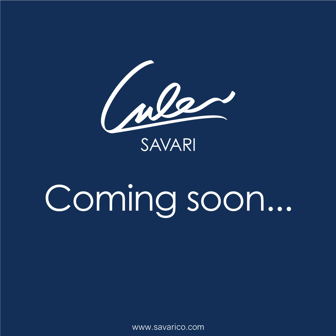 ژورنال جیبی با جلد چرم طبیعی به همراه دفترچه یادداشت قابل تعویض برند سواری SAVARI ( مدل S-23 ) با ضمانتنامه 2 ساله