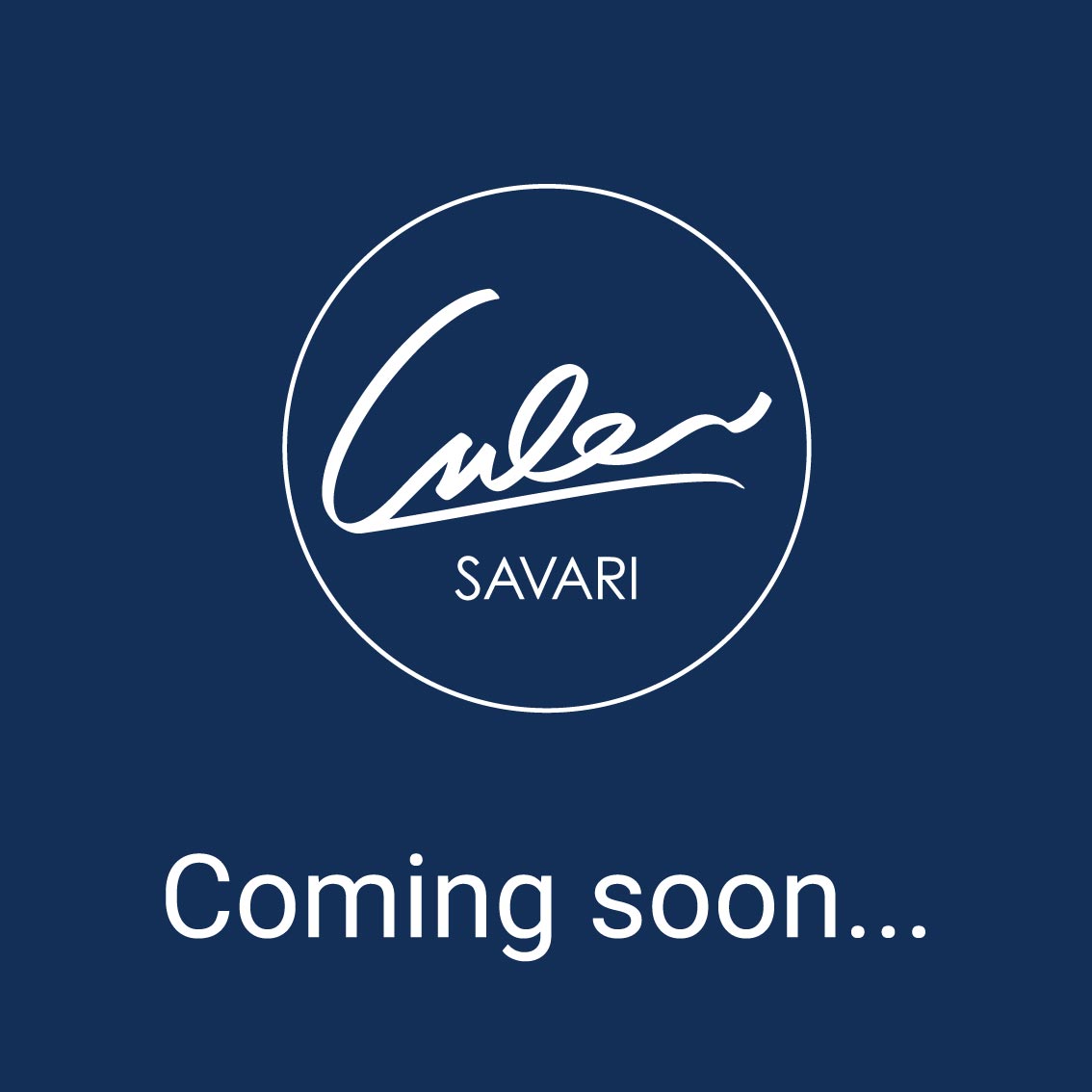 ژورنال جیبی با جلد چرم طبیعی به همراه دفترچه یادداشت قابل تعویض برند سواری SAVARI ( مدل اکوکامپکت S-25 ) با ضمانتنامه 2 ساله